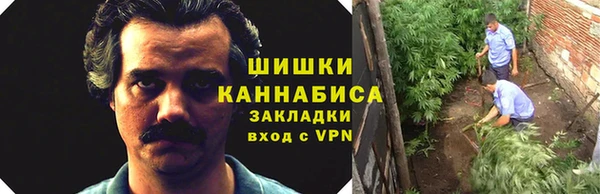 первитин Володарск